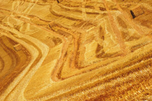 Como a Tecnologia está Transformando o Agronegócio Brasileiro em 2026